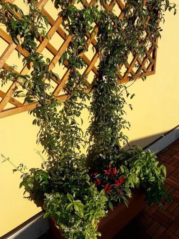 Al Civico Bed & Breakfast